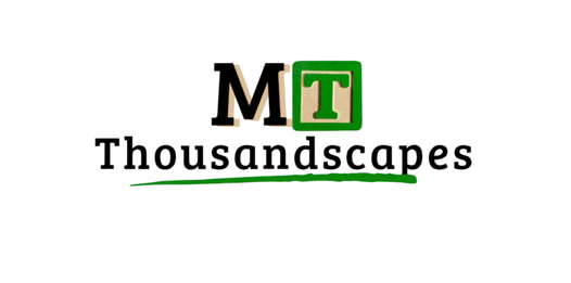 Mt Thousandscapes logo