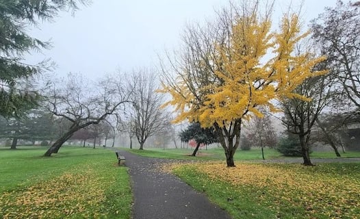 Roseburg - Stewart Park has nature trails & activities like disc golf, tennis, skate park & more