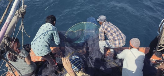 a group of fishers suspending net into the water