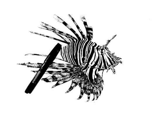 a lion fish in a pen and ink drawing