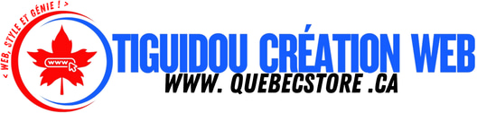 Tiguidou Création Web logo