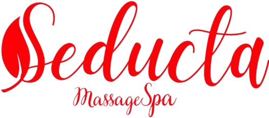 Vernice Spa logo