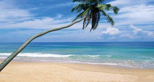 Alankuda beach