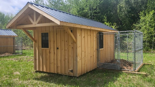 camp cabin dog boarding, each dog will have their private space