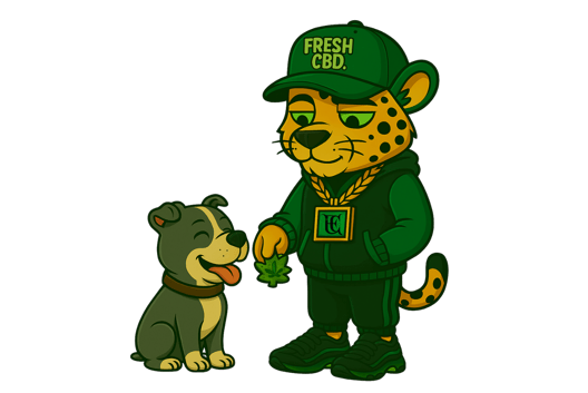 Leopardo Fresh CBD sentado en sofá fumando frente al televisor