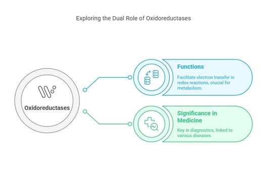 Exploring the dual role of Oxidoreductases