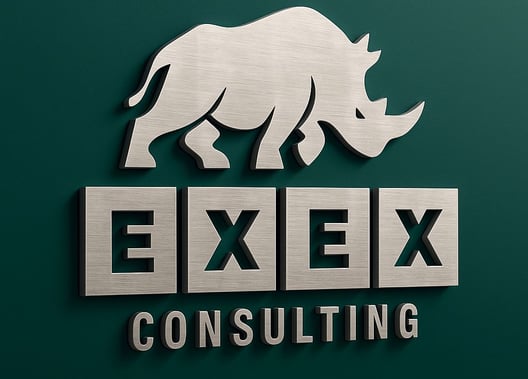 Exex consulting
