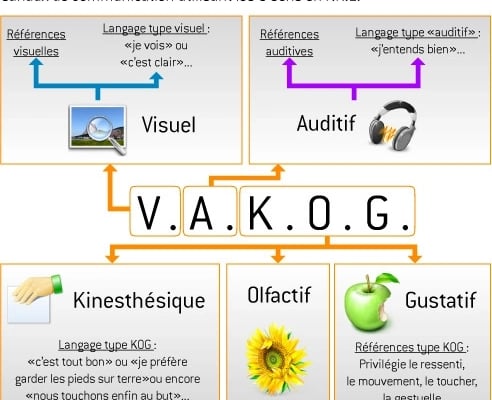 Ecrit en gros : V.A.K.O.G. visuel auditif kinesthésique olfactif gustatif