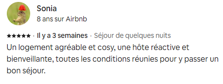 avis voyageurs airbnb