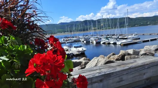 Anse St-Jean, marina