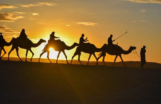 a group of people riding camels in the desert