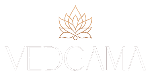 Vedgama logo