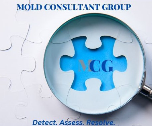 Mold Consultant Group logo