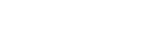 NOLIMITSCOACHING logo