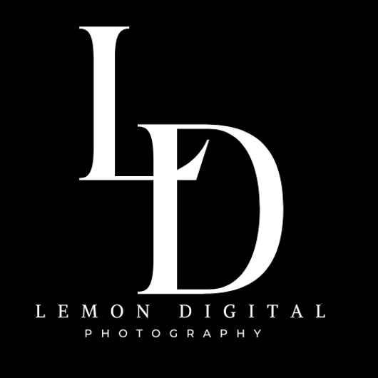 Lemon Digital logo