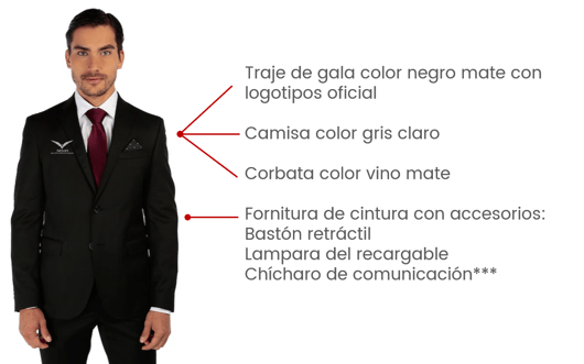 Perfil Elemento Ejecutivo SEMA