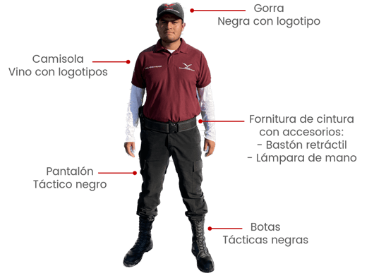 Perfil Elemento Seguridad Patrimonial SEMA