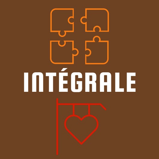 logo solution "INTEGRALE" the store master puzzle