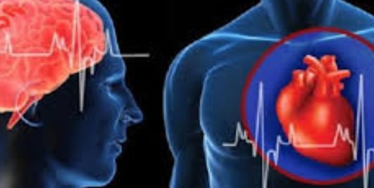 💧🩺 Why doesn’t dehydration during voluntary fasting lead to dangerous blood clots? Discover how th