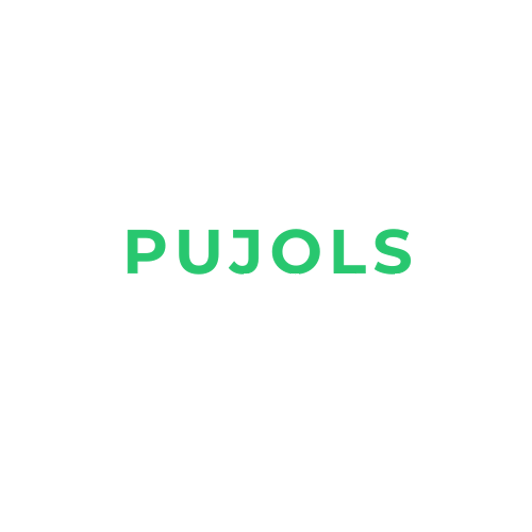 PUJOLS CONSULTING logo
