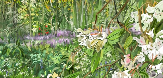 Digital drawing - Strood wood
