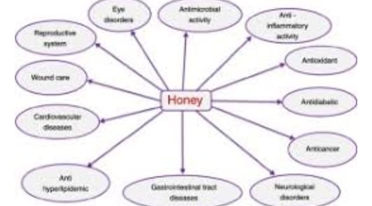 Bee Therapy the Benefits and Uses of Bee Venom (2)