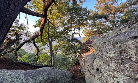 a rock formation on a rock formation in the woods