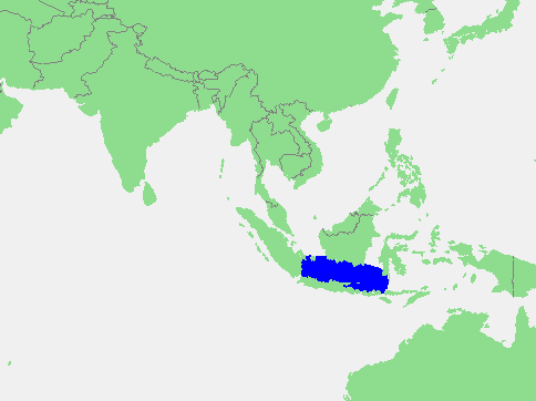 Mapa do mar de Java, área em destaque - wikimedia