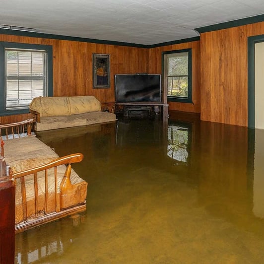 Flood Remediation Services