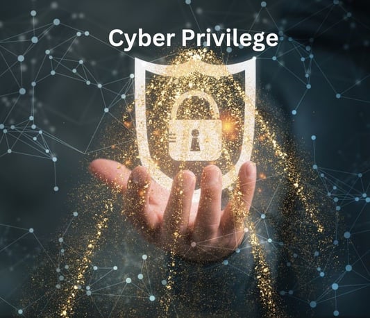 cyberprivilege