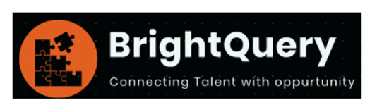 brightquery logo