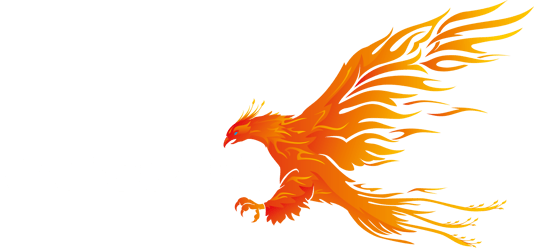 VANGUARD X TECHNOLOGIES logo