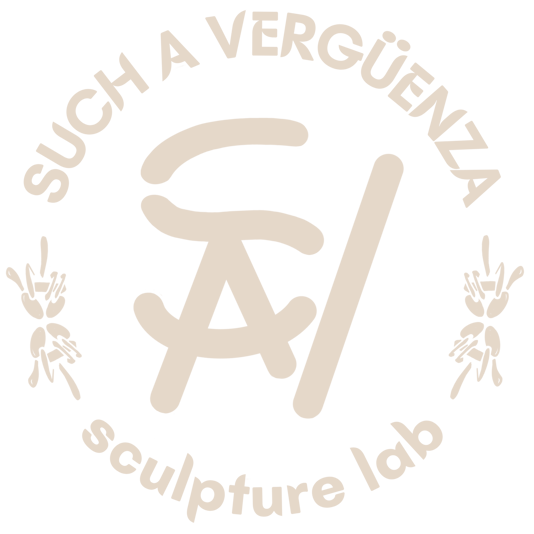 Such a vergüenza logo