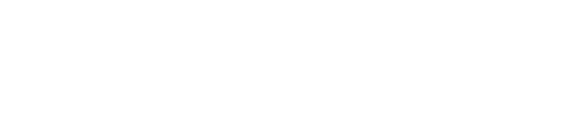 Divisuale logo