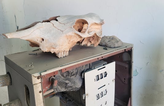 an old abandoned fuel pump with a bovine skull on top of it