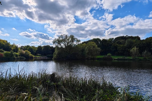 Lake and trees in Capstone Farm Country Park