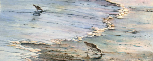 a painting of a bird on the beach