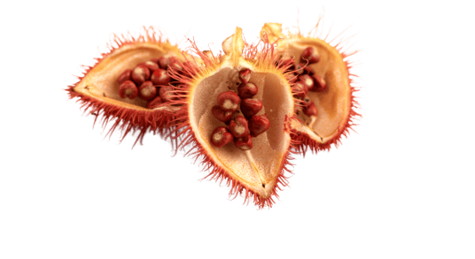 Annatto derived tocotrienol and geranylgeraniol GG