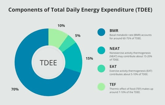 a pie chart of the total energy of a daily routine