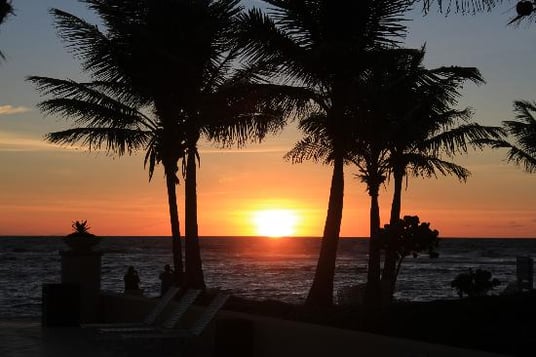 celebrating the dawn of New Year