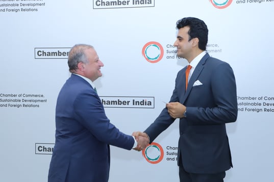 Ambassador of Georgia at Chamber India Event