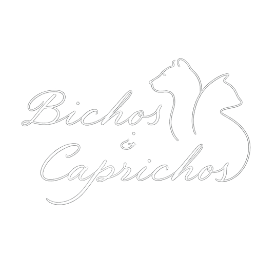 Bichos E Caprichos logo