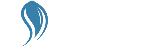 Noble logo