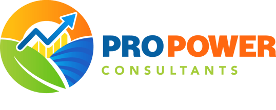 ProPower AI Consultants
