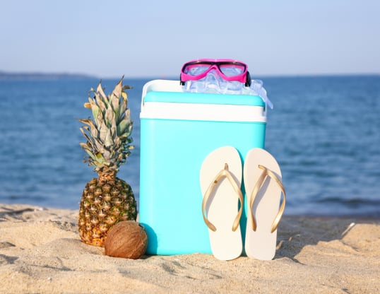Why should you choose my cooler bag ?