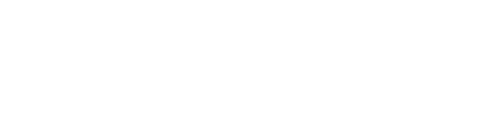 ANNAS 17 logo