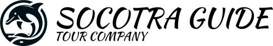Socotra Viaggi logo