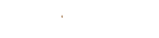 JAUZ - Gestión de alquiler vacacional en Málaga y la Costa del Sol. logo