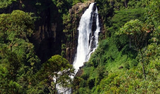 devon falls