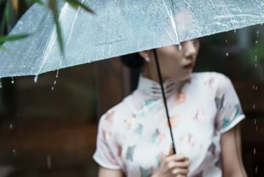 The Qipao: A Symphony of Tradition and Innovation